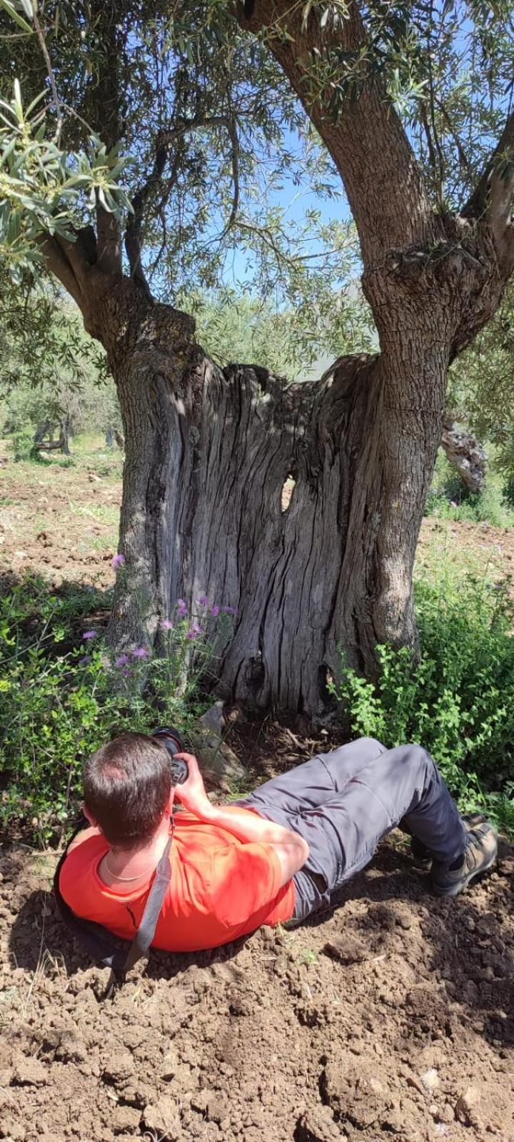 הוילה Caltavuturo Casa Della Nonna מראה חיצוני תמונה