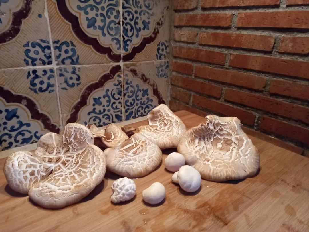 הוילה Caltavuturo Casa Della Nonna מראה חיצוני תמונה