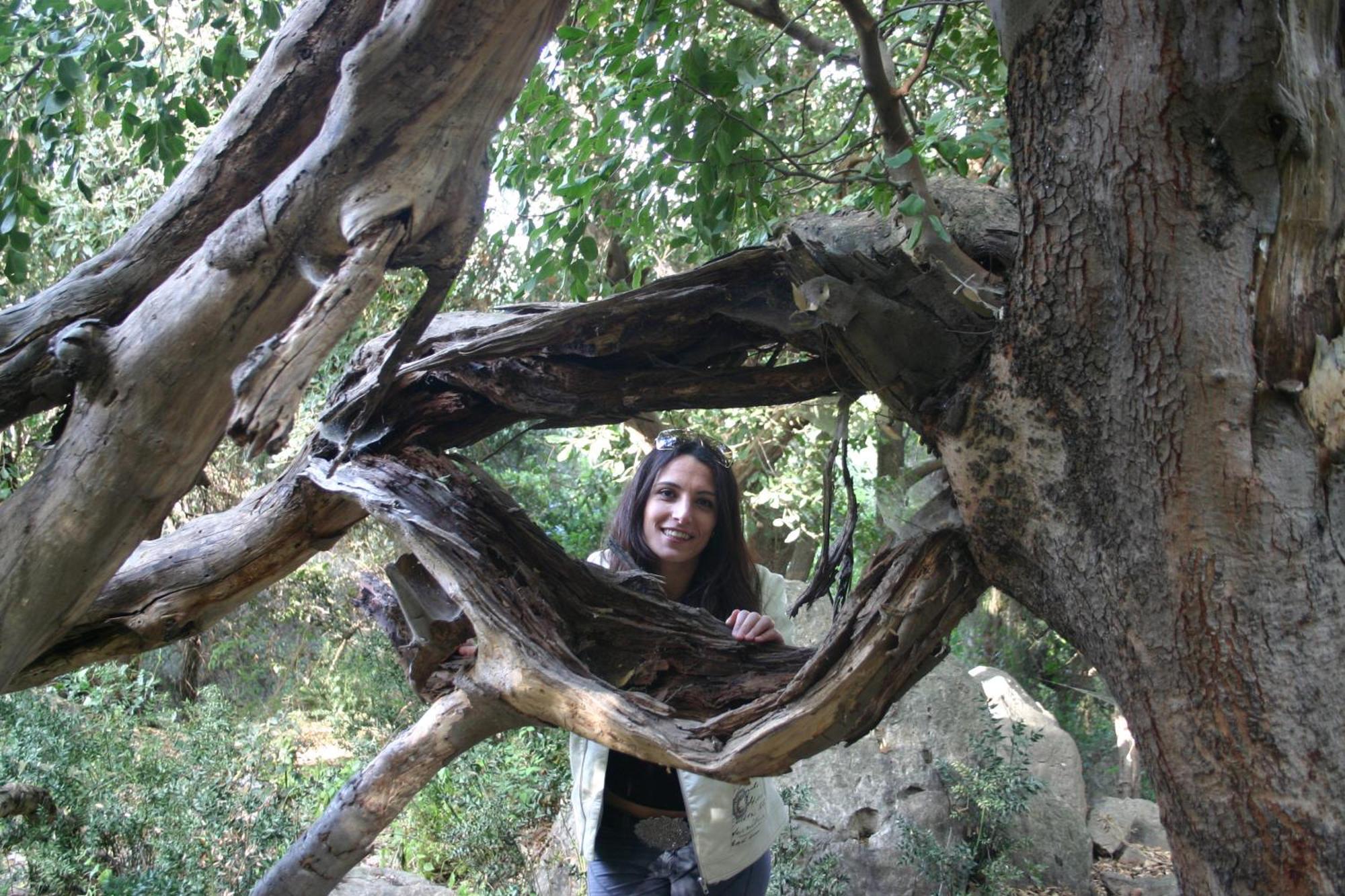 הוילה Caltavuturo Casa Della Nonna מראה חיצוני תמונה